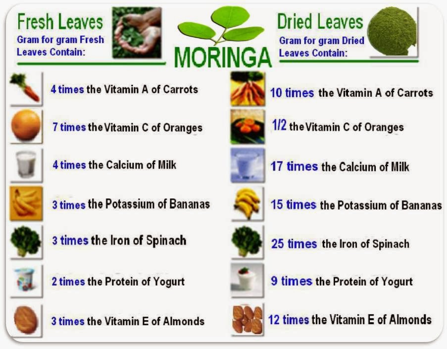 Moringa Chart