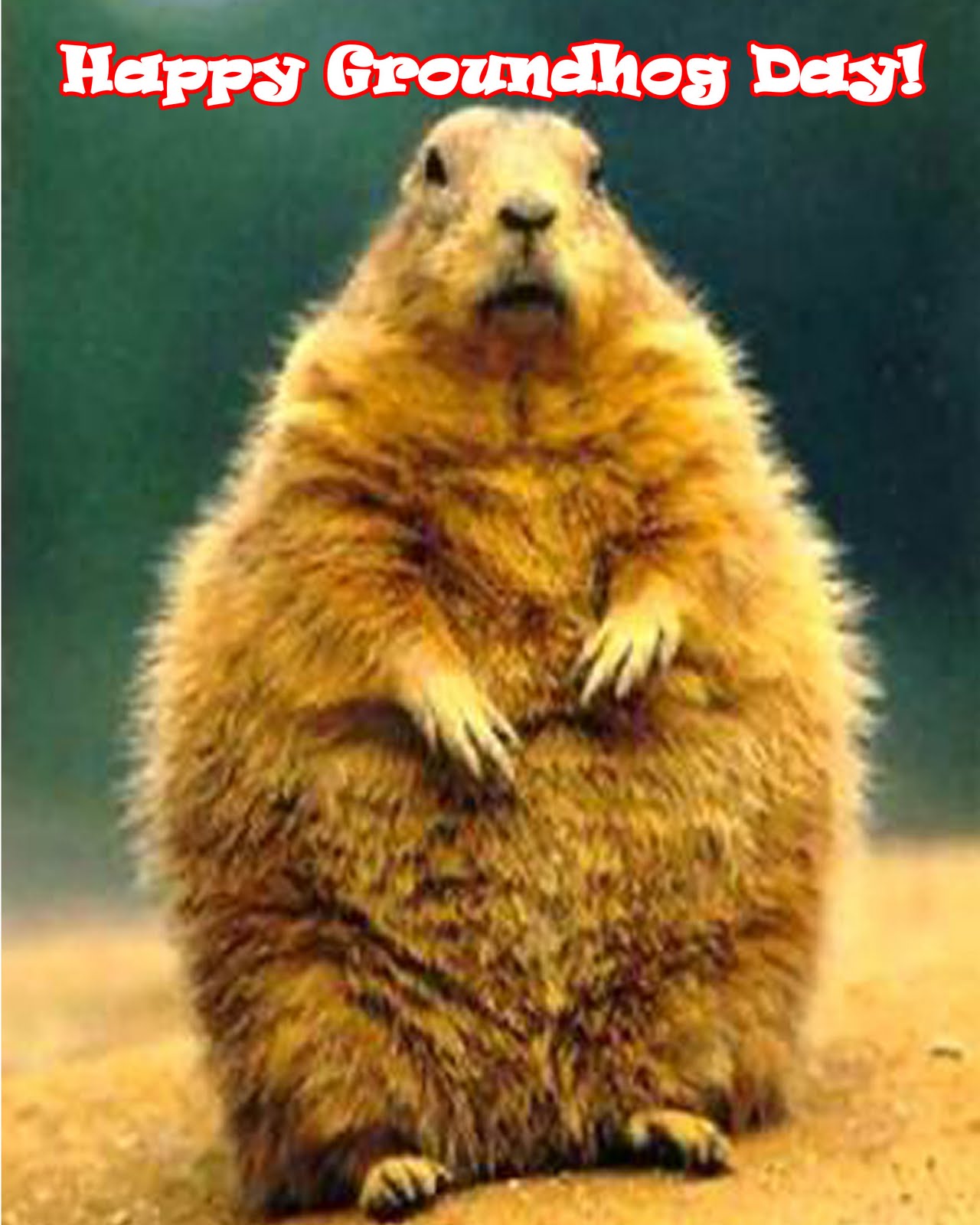 Vlahos' Voice Happy Groundhog Month