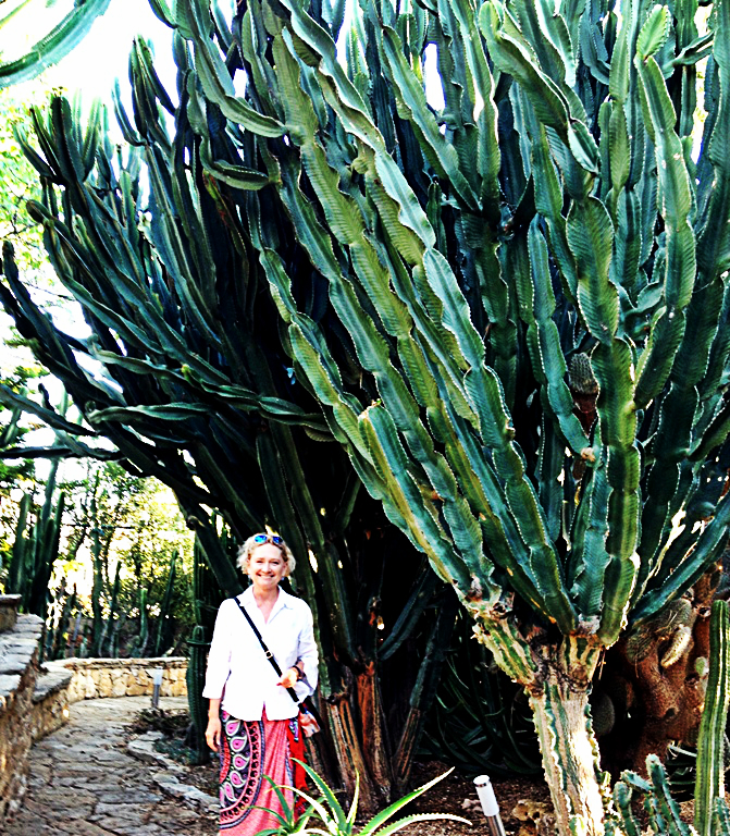 Ewa in the Garden 37 Photos of the Absolutely Most Stunning Cactus