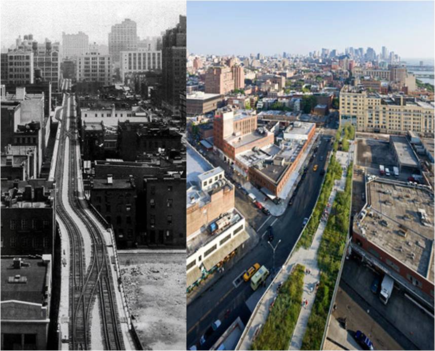 Gardens of my Life HIGH LINE PARK NYC