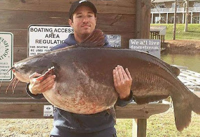 fishing planet unique catfish north carolina fishing planet unique catfish north carolina