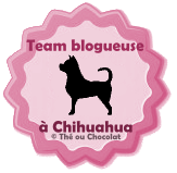 Team Blogueuse à chien