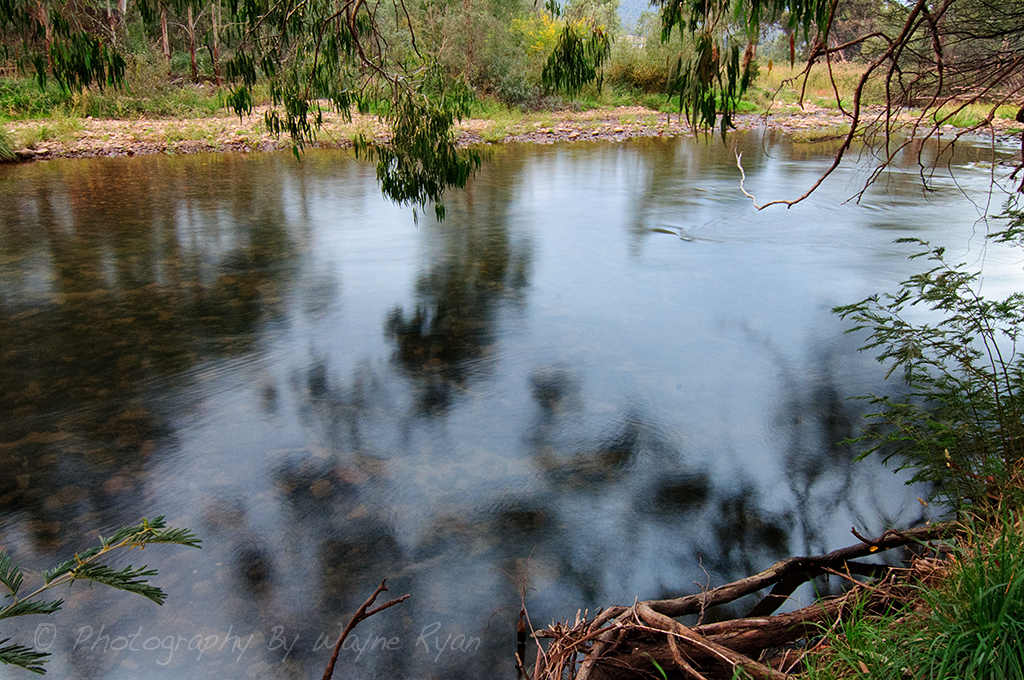Wayne Ryan's blog King River Valley