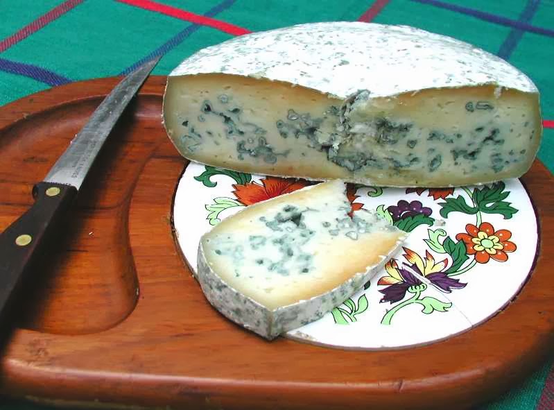 Health Benefits of Blue Cheese Healthy Routine