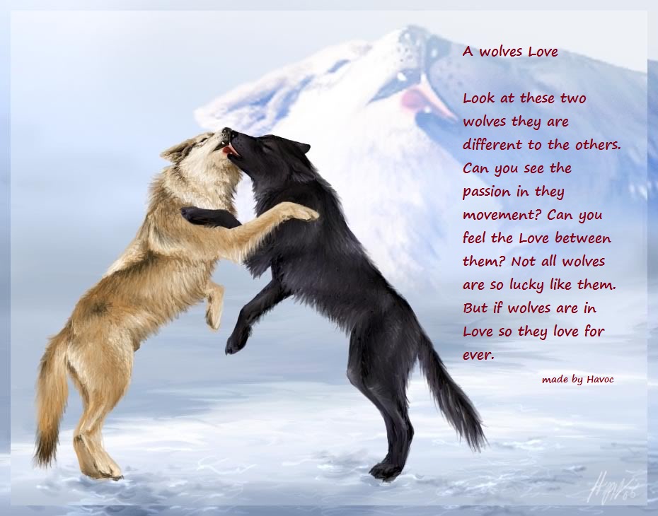 Wolf Friends Quotes. QuotesGram