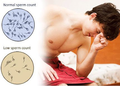 Natural Home Remedies to Increase Sperm Count