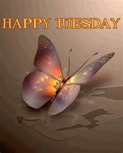 Happy+Tuesday+40.jpg