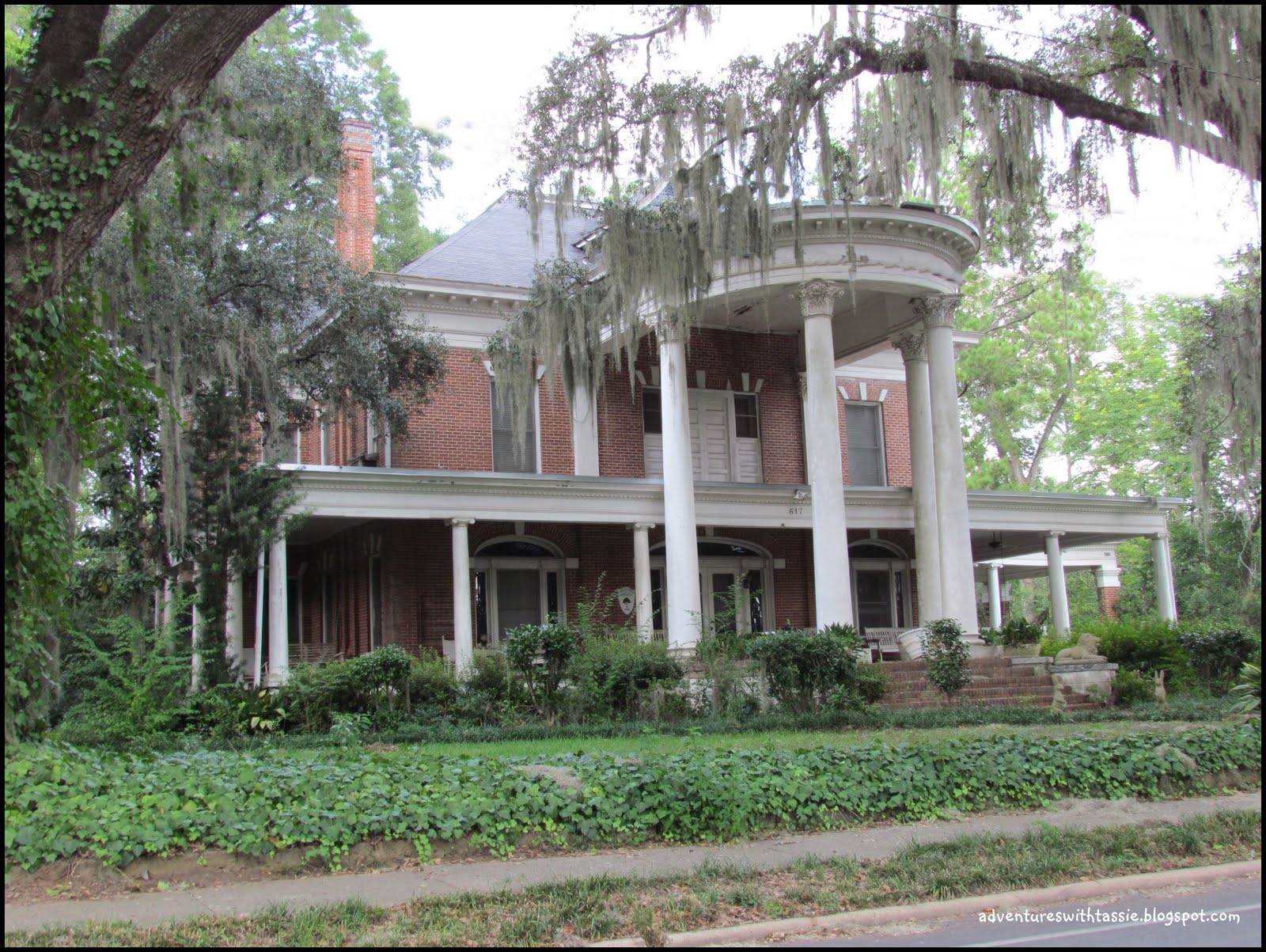 Our Adventures with "Josie" Historic Bainbridge, Part II