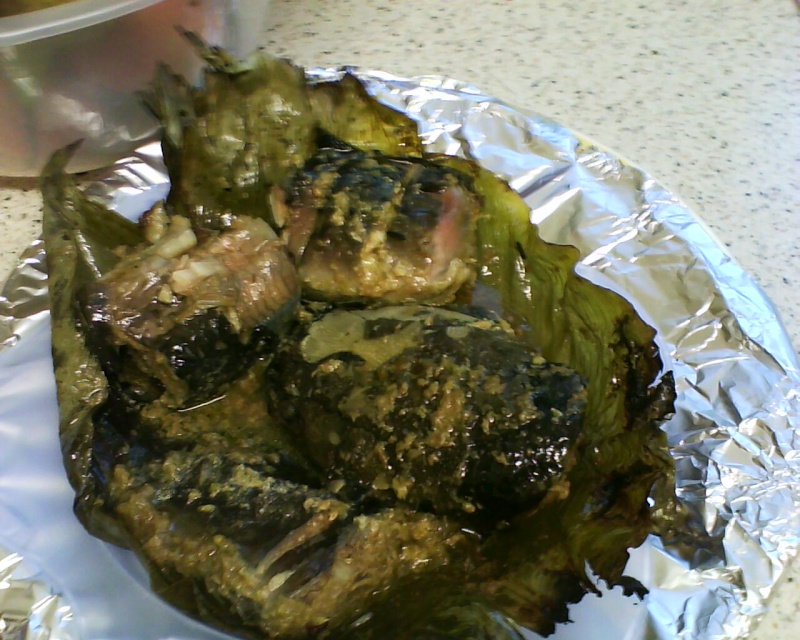 DUNGANDZI Paquets de silures