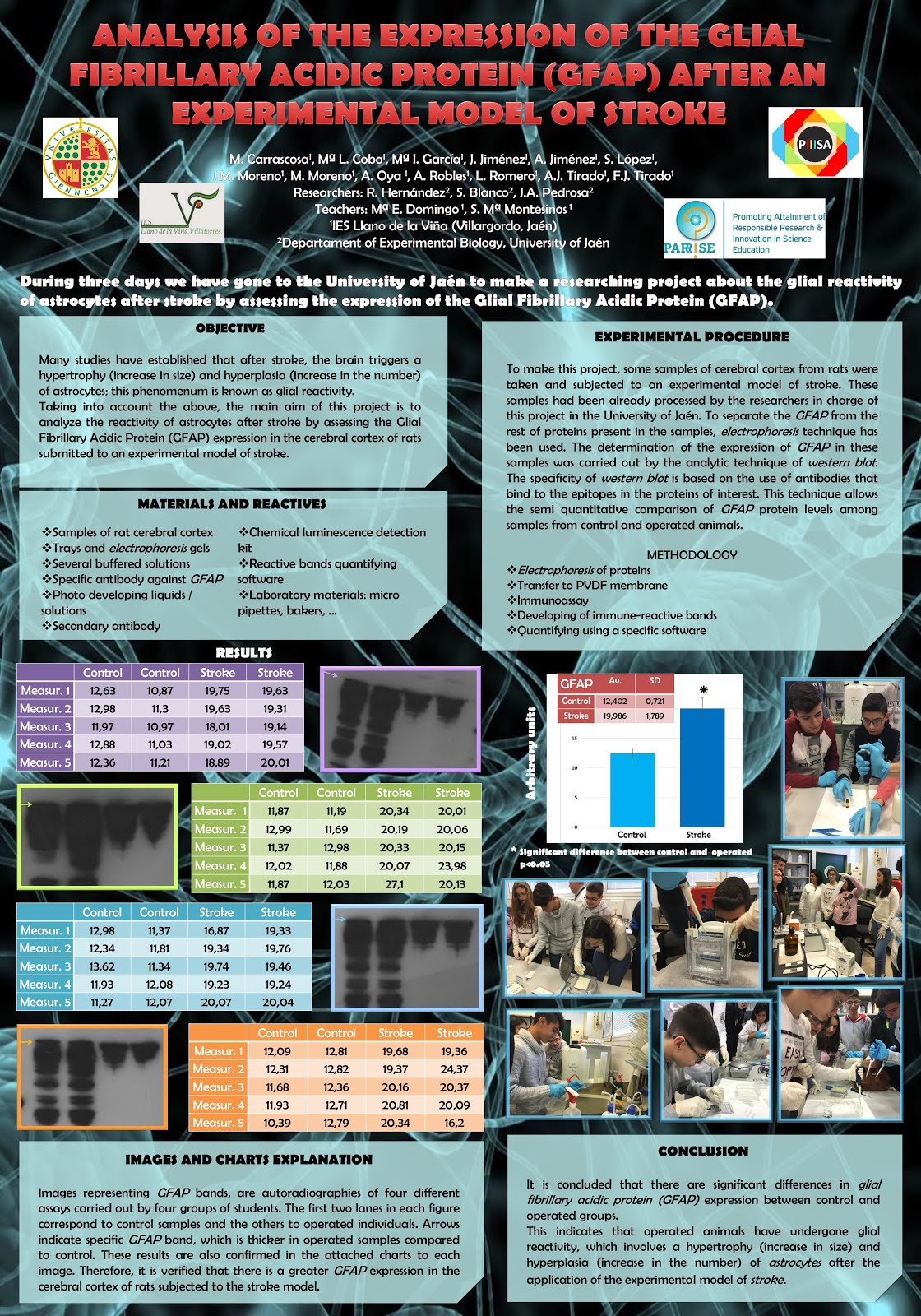 PROYECTO DE INVESTIGACIÓN PIIISA