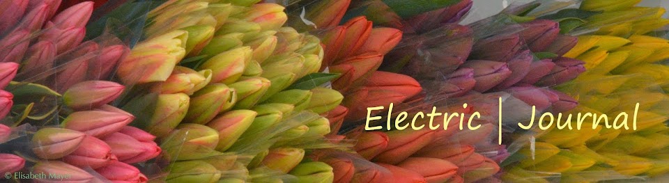 Electric | Journal