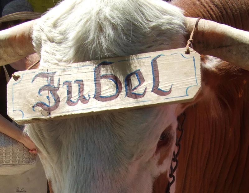 Nervenruh Page 6 Chan 6237560 Rssing Com