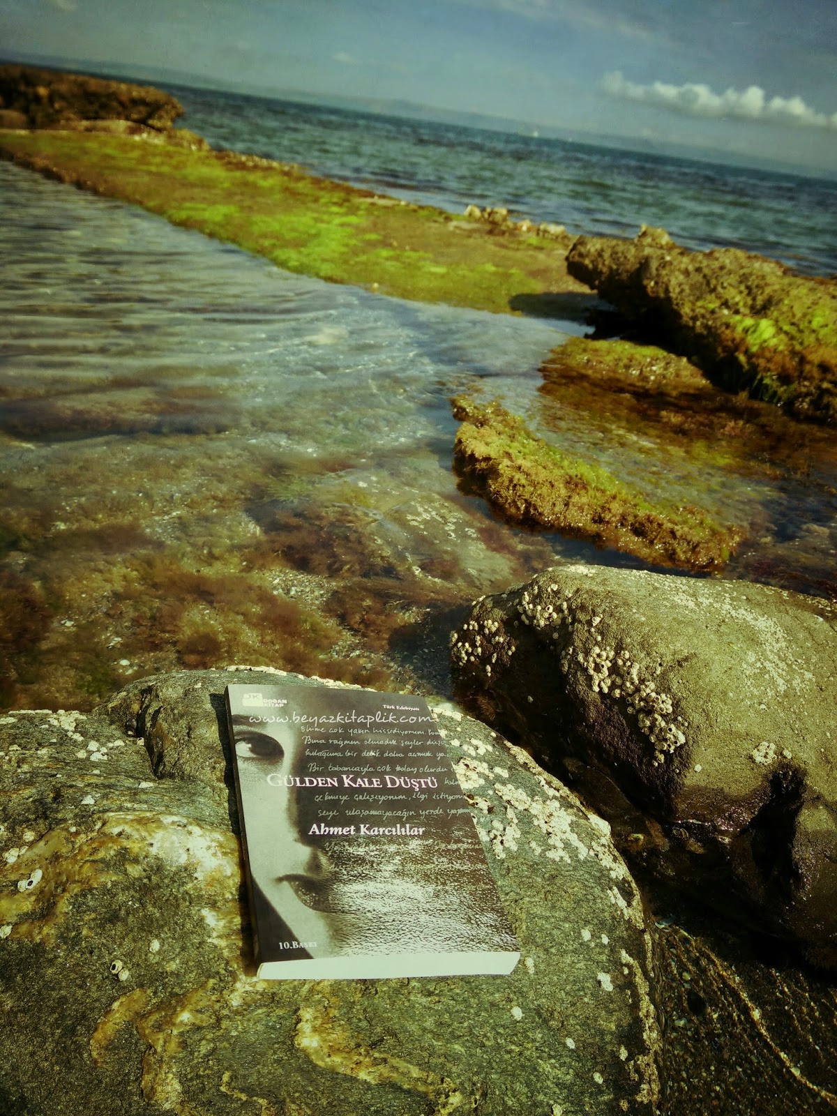 beyazkitaplik blogspot com