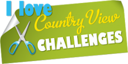 Country View Challenges