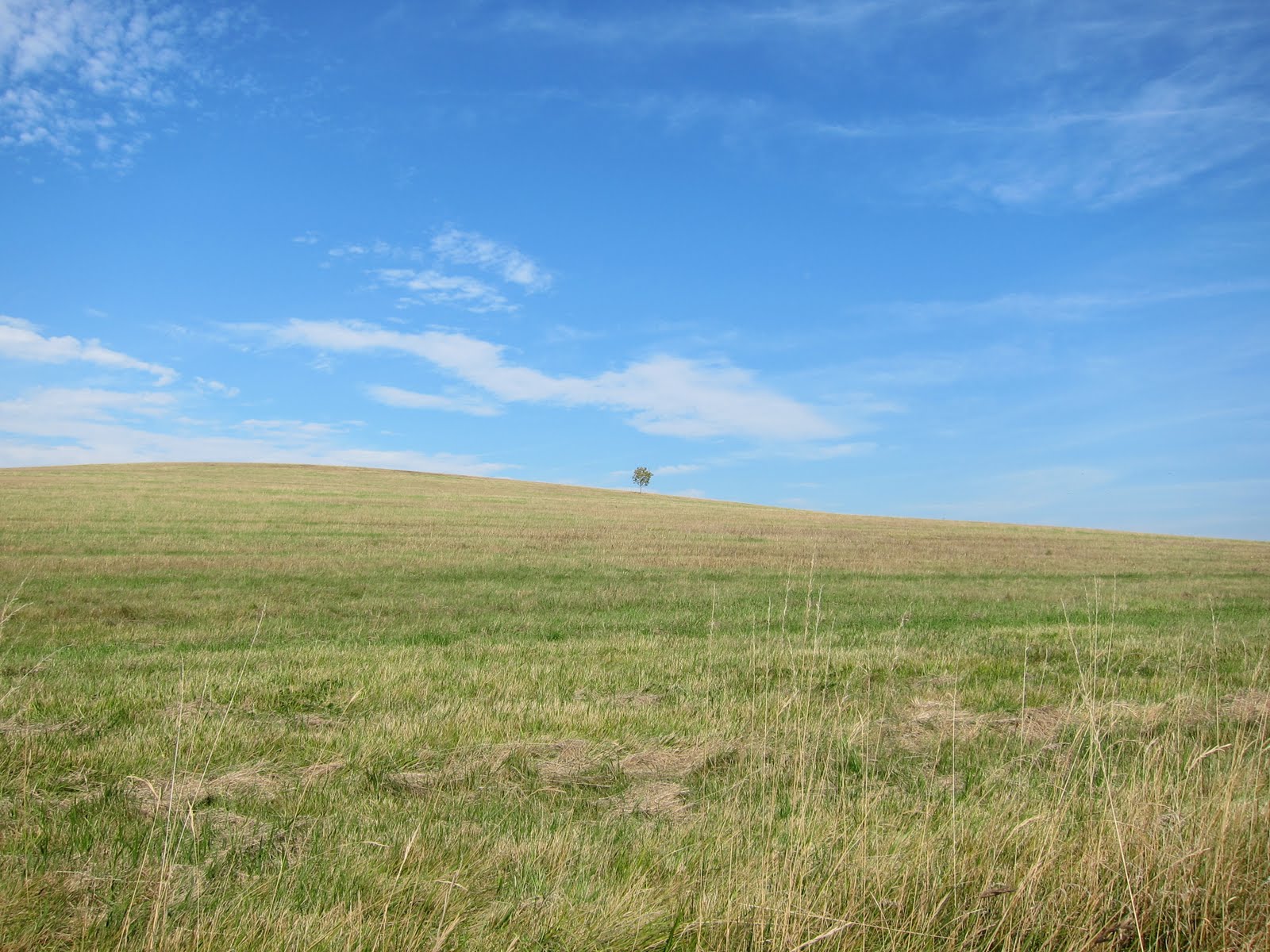 Craven Arms Brockhampton