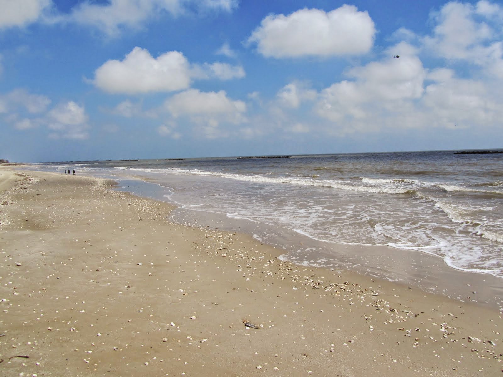 Holiday Area What Is the Closest Beach to Little Rock, Arkansas on the