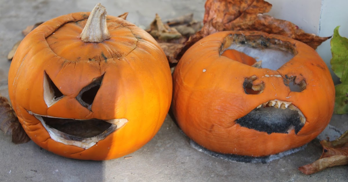 A day in the life...