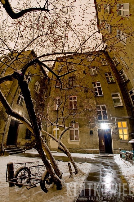 Zimowy Poznań