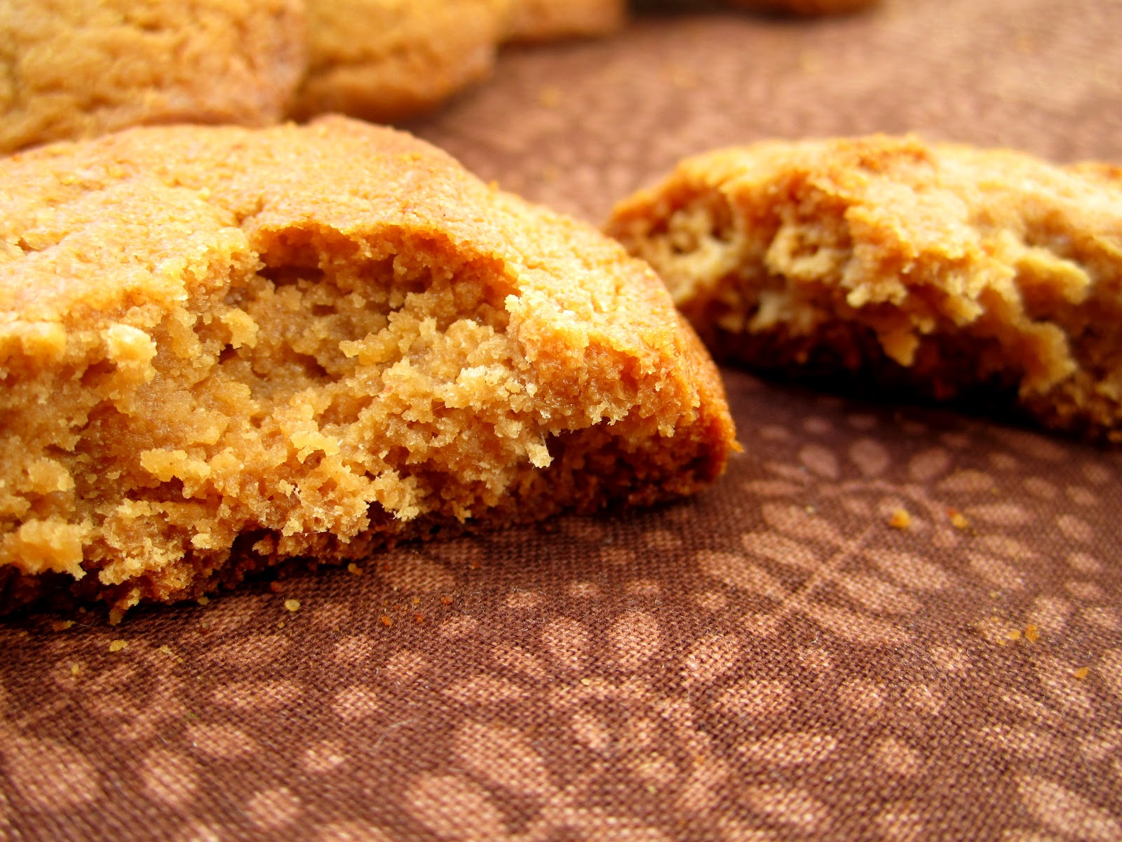 Sugar Rush 90 Second Peanut Butter Honey Cookies (Gluten, Dairy Free!)
