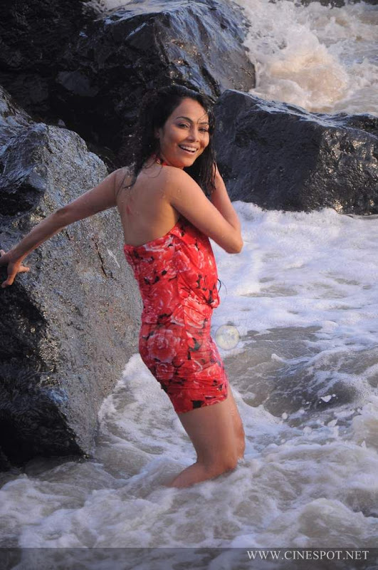 Nikita raval Actress in Swimsuit hot sexy photos pics hot images