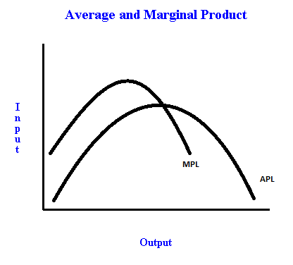 Total product, average product and marginal product 