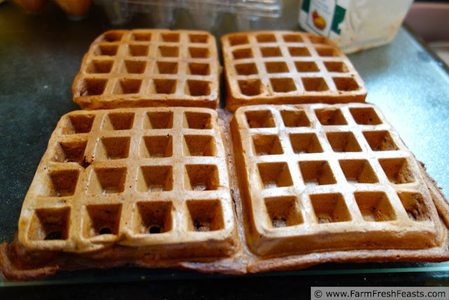 Chocolate Zucchini Waffles