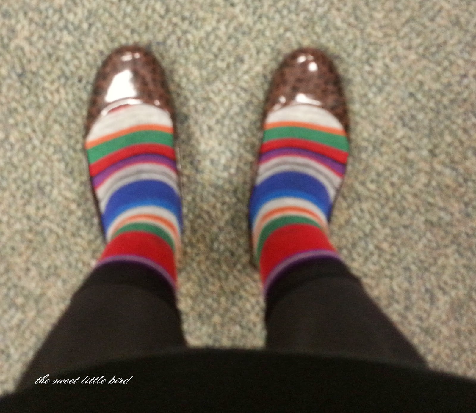 The Real Housewives of New Jersey - S6 E6 - The Family