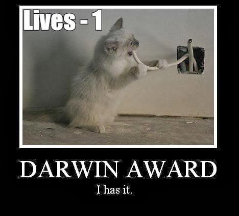 Natural Selection Darwin Award Natural Selection Darwin Award