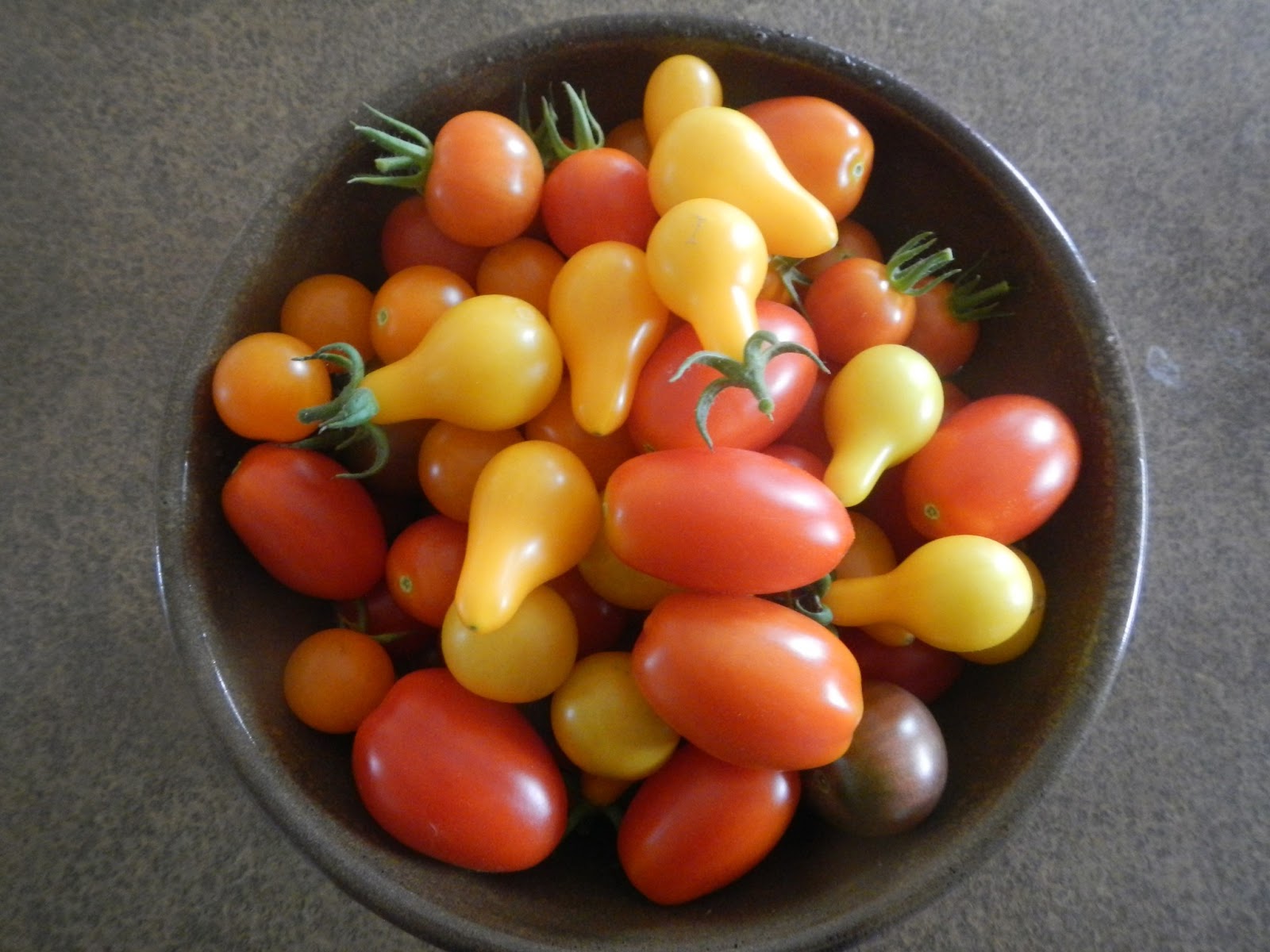 From Scratch Jewels in the Garden Roasted Cherry Tomatoes