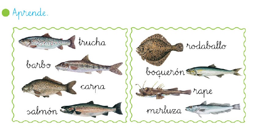 Primeiro da Rabadeira: LOS PECES DE AGUA DULCE Y LOS PECES DE AGUA SALADA
