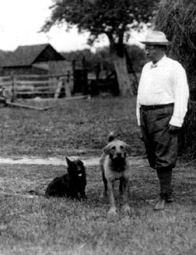 teddy roosevelt dog
