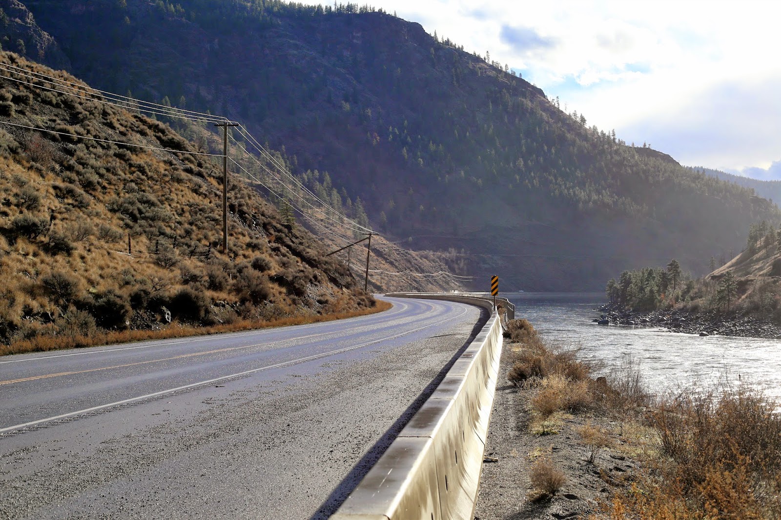 Monkey Puzzle Blog Fraser Canyon