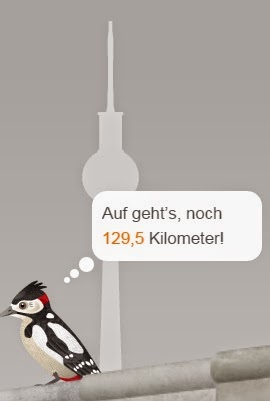 Absolut Obsolet Mauerspechte Im Winterschlaf Das Zdf Vergeigt