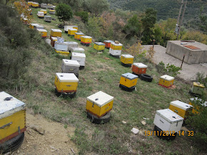 ΕΝΑ ΑΠΟ ΤΑ ΜΕΛΙΣΣΟΚΟΜΙΑ ΜΑΣ