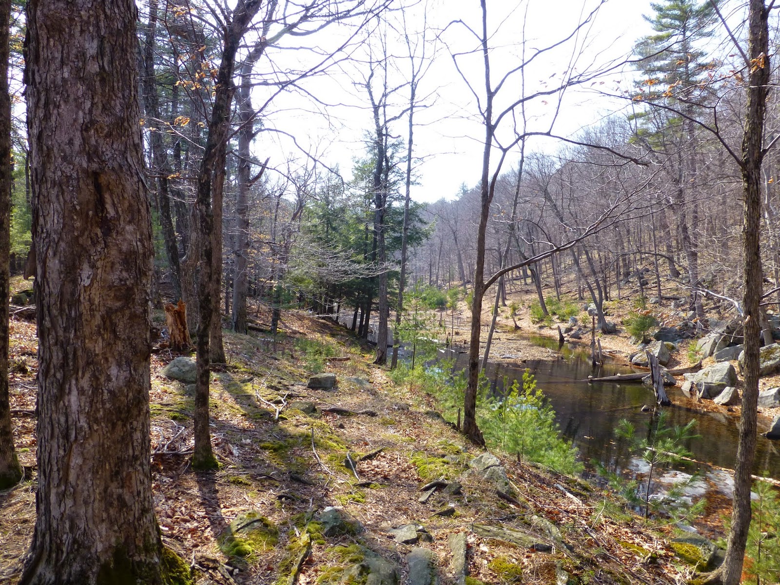 Off on Adventure Fifth Peak and 5 Mile Point Lake Wild Forest 4/13/14
