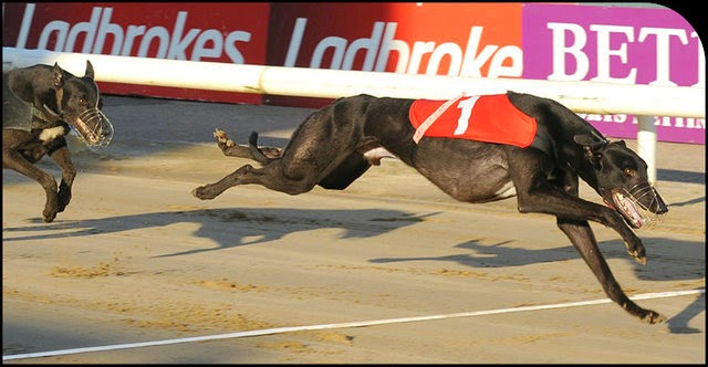 Heat 6 Heat 6