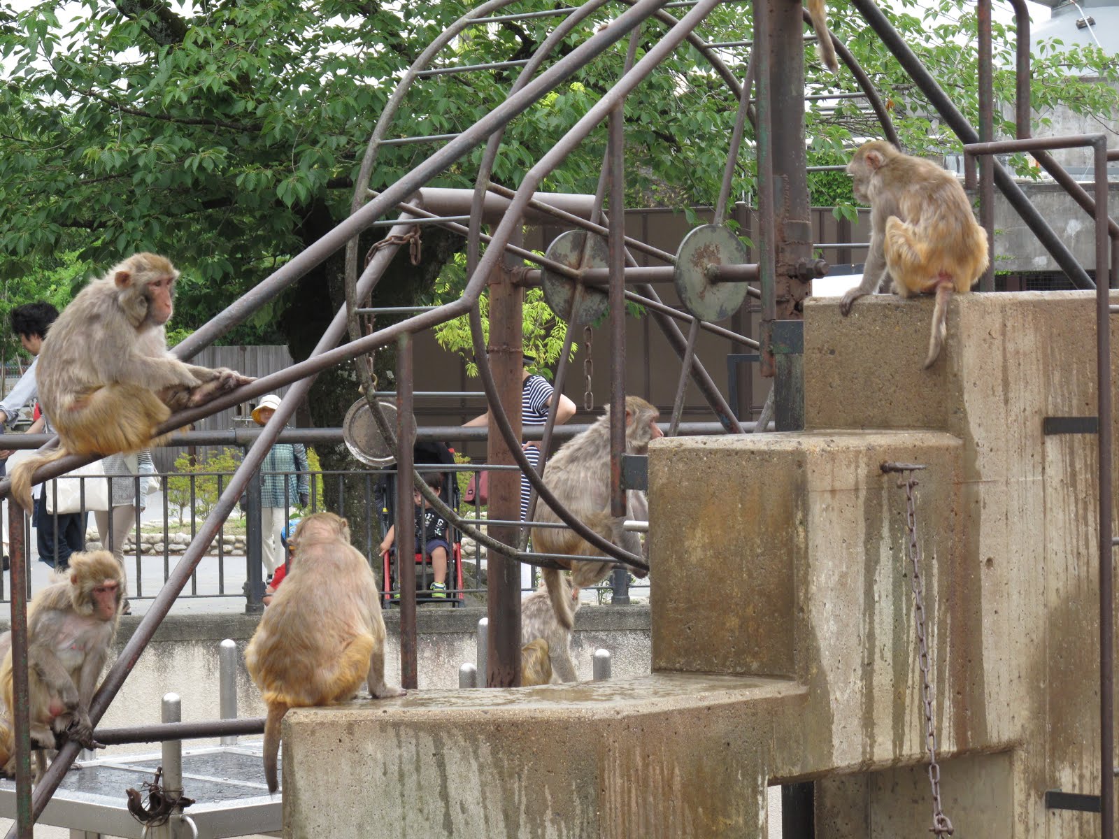京都 動物園