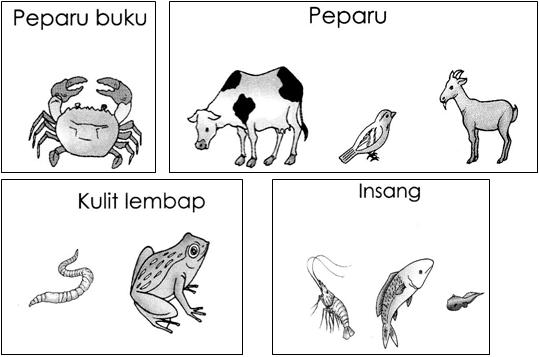 Hidupan Mengalami Proses Hidup  November 2012
