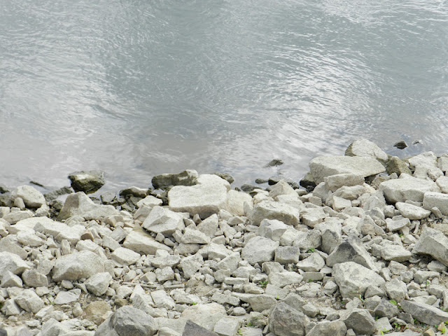 DSCN3663.JPG