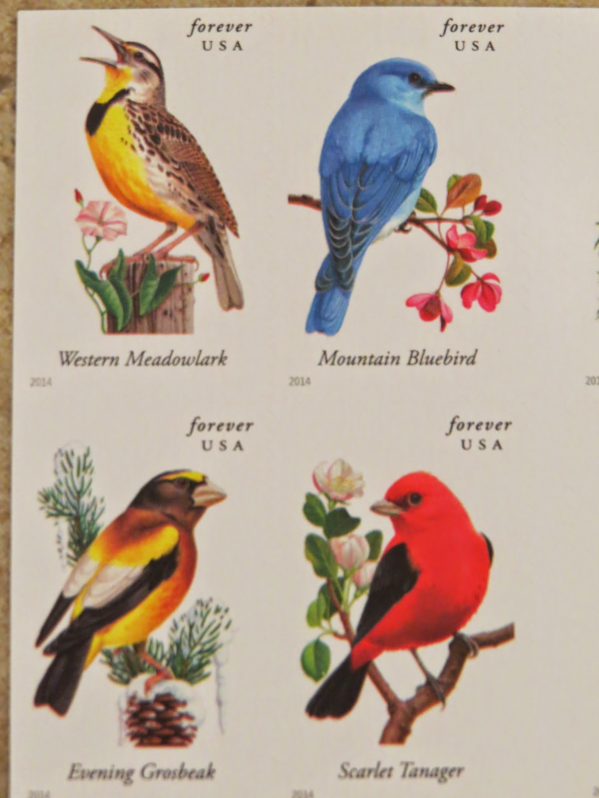 Songbirds USPS Forever Stamps It has grown on me!