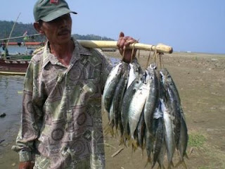Nelayan Menjaring Ikan
