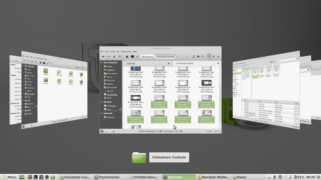 Beginner Cinnamon Desktop Customization Guide