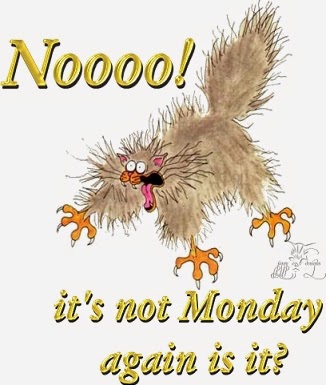 nonotmonday.jpg