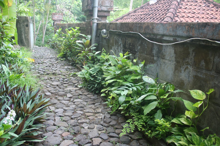 The pathway leading to the restaurant