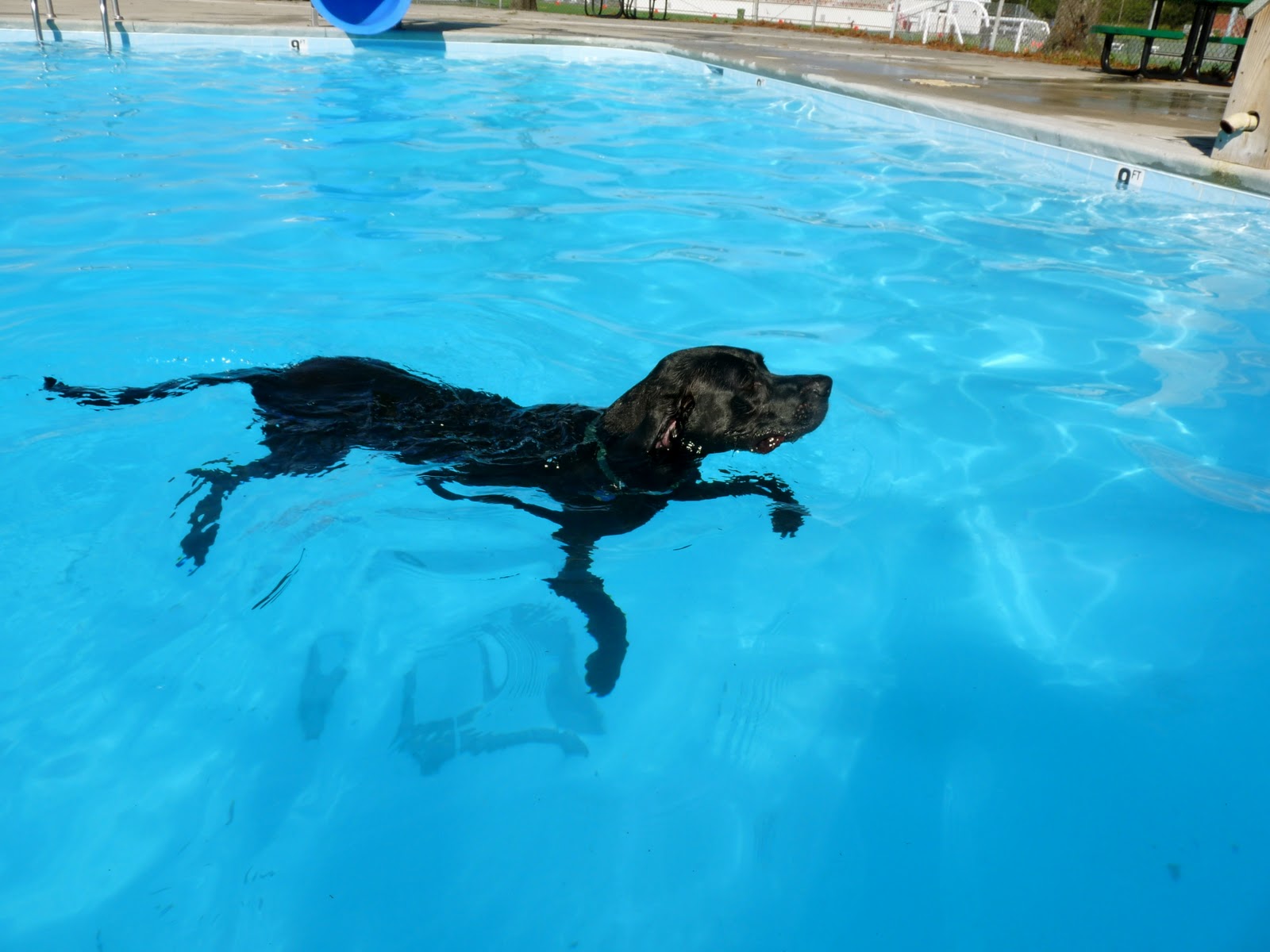 are endless pools any good