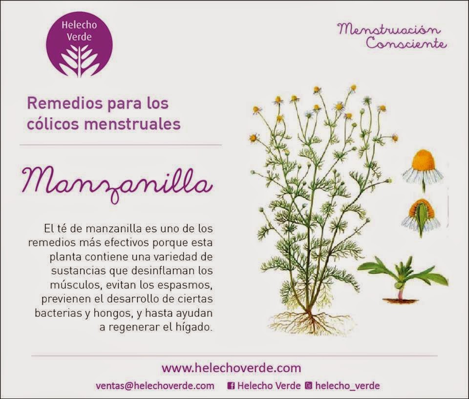 Notas Plenilúnicas de Helecho Verde: Herbolario I: Remedios para los