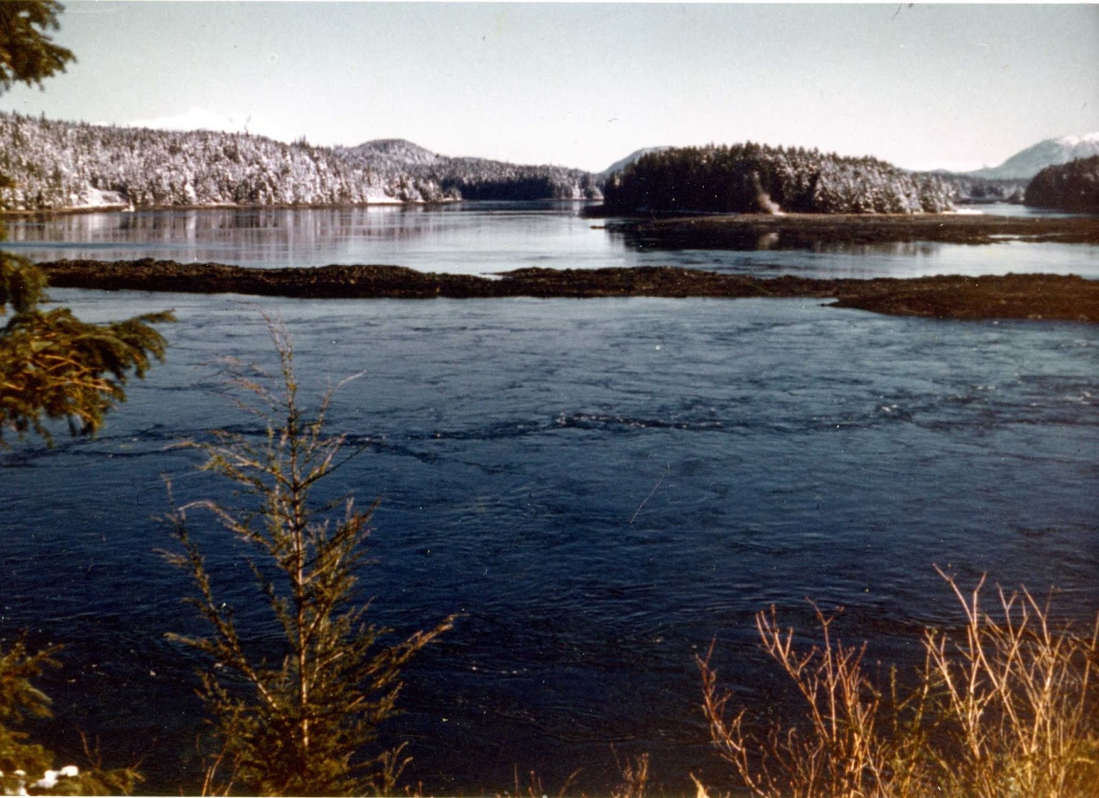 Scene Through My Eyes Water