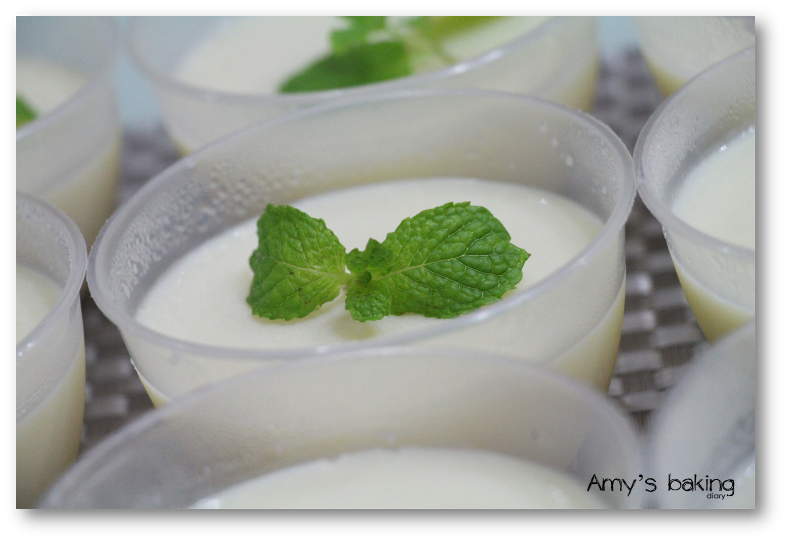 Amy Baking Diary Soy Bean Pudding