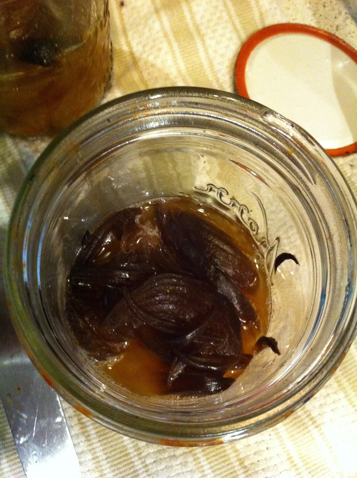 Fresh Start Cooking Caramelized Onions Sous Vide hack