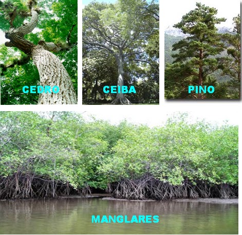 Lugares Tur sticos Honduras